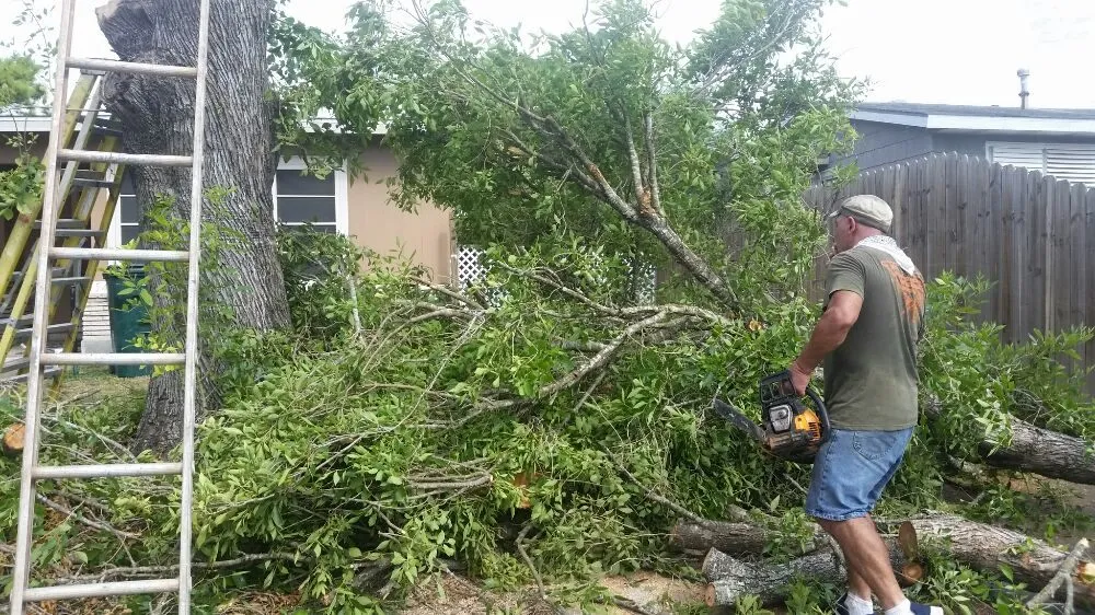 Reliable landscape installation in Corpus Christi, TX - Cajun Charlies Complete Tree Service