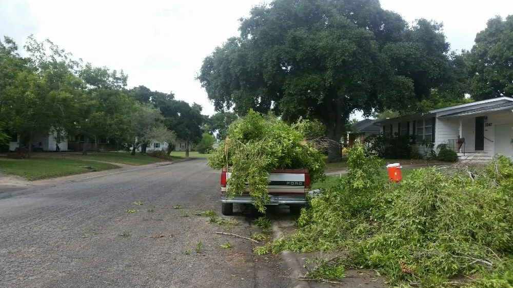 Custom landscaping services in Corpus Christi, TX by Cajun Charlies Complete Tree Service