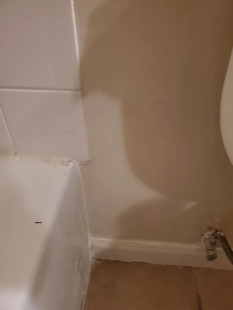 Reliable lawn care service for residential properties across Ocean Springs, MS - Cajun Clippins