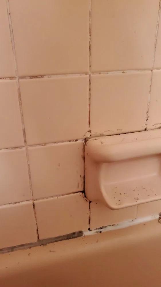 Professional landscaping services for homes in Ocean Springs, MS by Cajun Clippins