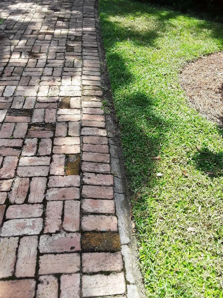 Professional residential landscaping in Ocean Springs, MS by Cajun Clippins