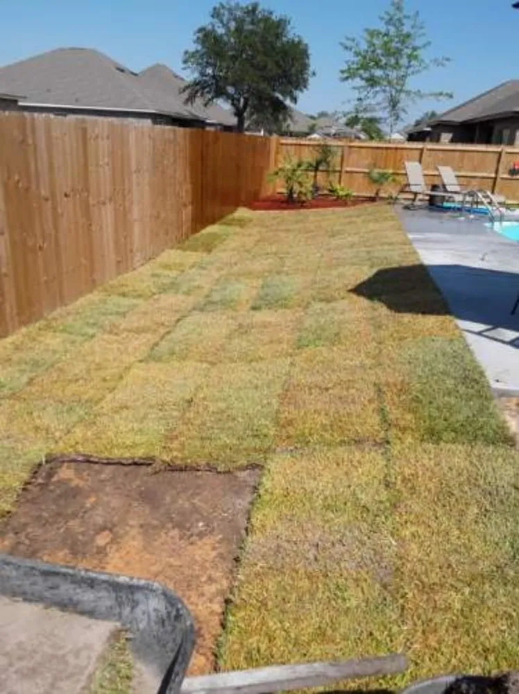 Reliable yard maintenance in Ocean Springs, MS by Cajun Clippins