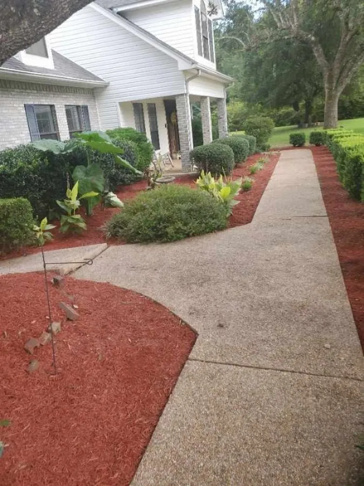 Top-rated yard cleanup service near you in Ocean Springs, MS by Cajun Clippins
