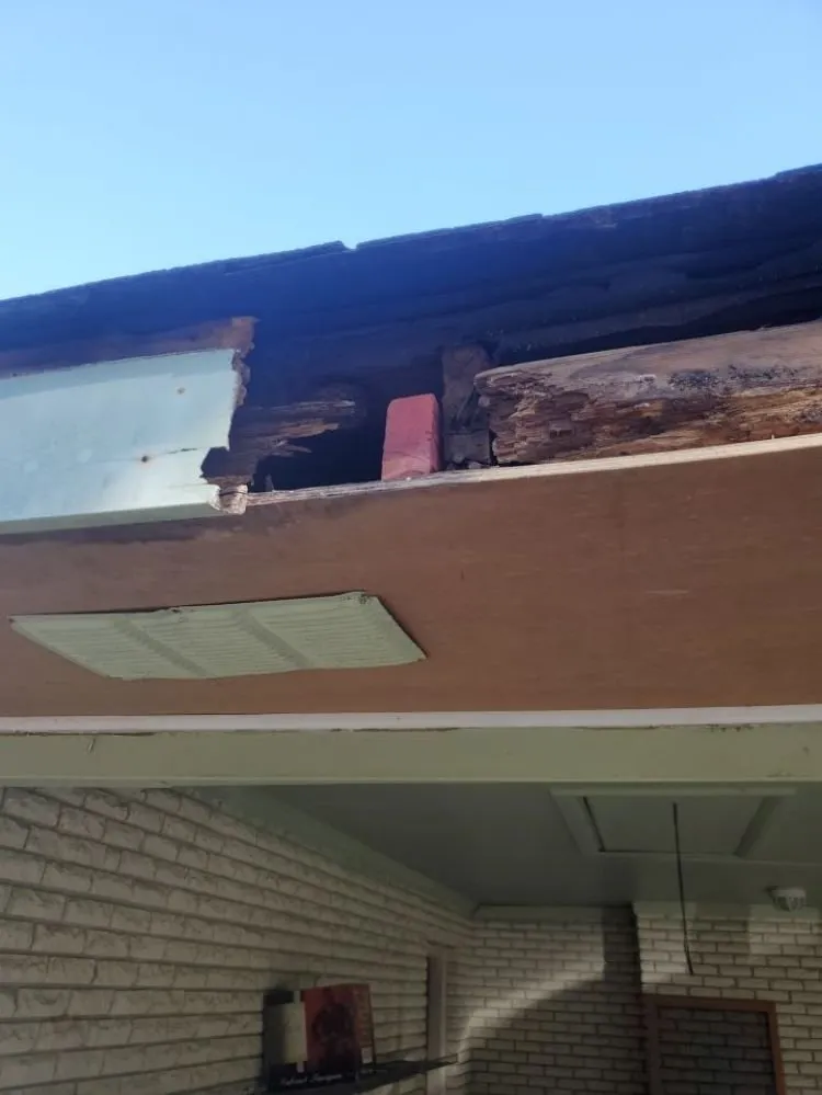 Affordable yard maintenance in Ocean Springs, MS by Cajun Clippins