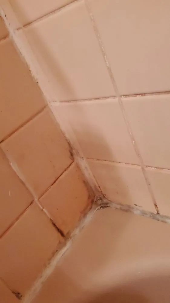 Professional garden landscaping in Ocean Springs, MS - Cajun Clippins