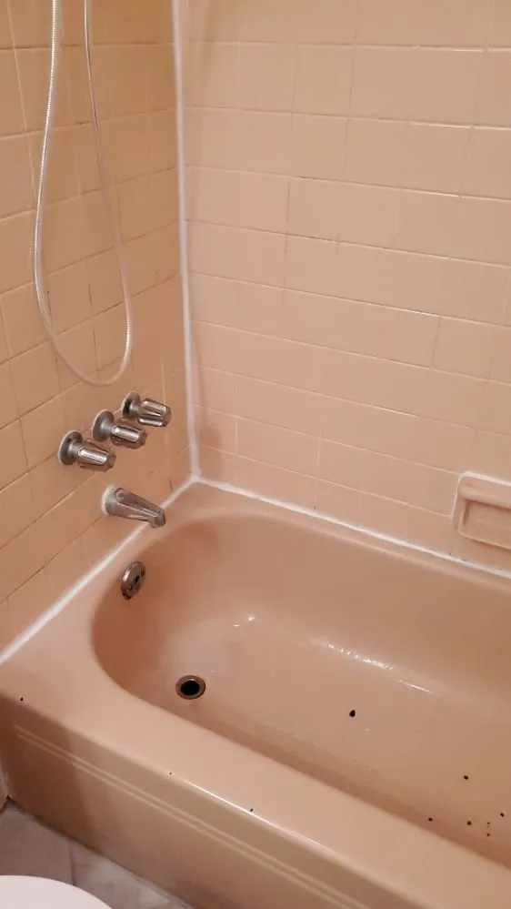 Top-rated landscape design in Ocean Springs, MS by Cajun Clippins