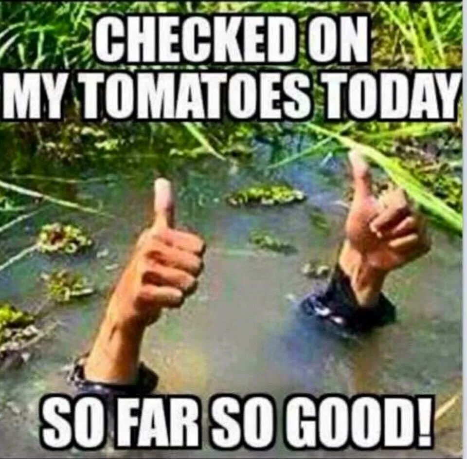 Top-rated lawn mowing service experts serving Crowley, LA - Cajun Country Landscaping