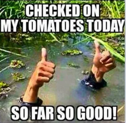 Cajun Country Landscaping Logo