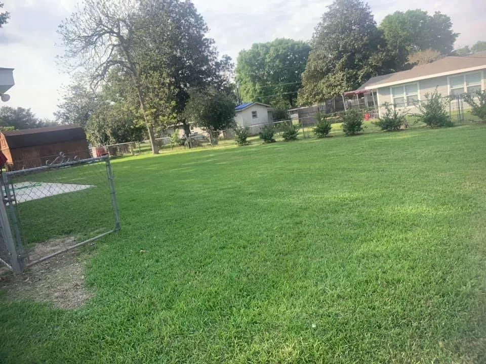 Local landscape installation experts serving Abbeville, LA - Cajun Country Lawncare