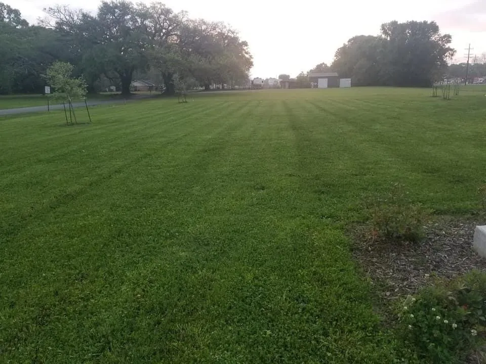 Expert residential landscaping near you across Abbeville, LA - Cajun Country Lawncare