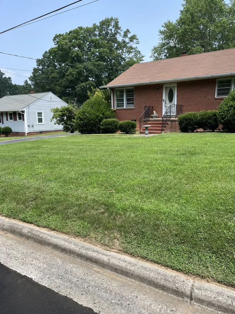 Top-rated yard cleanup service in Jamestown, NC - Cajun Cuts