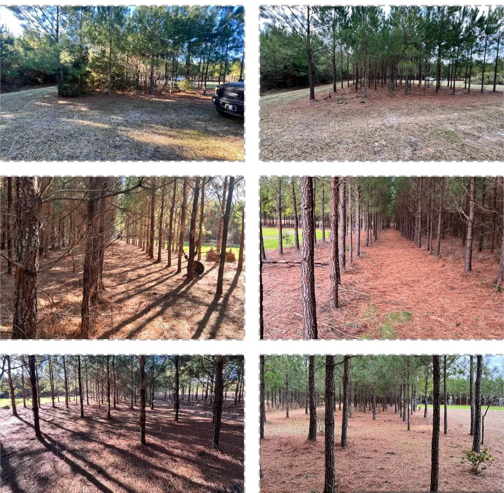 Top-rated yard maintenance for outdoor upgrades across Savannah, GA - Cajun Cutters Lawn Services