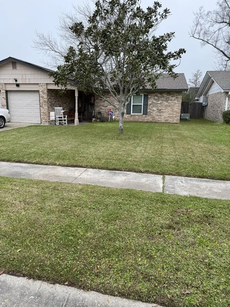 Reliable yard cleanup service in Destrehan, LA by Cajun Lawncare and Exterior Services
