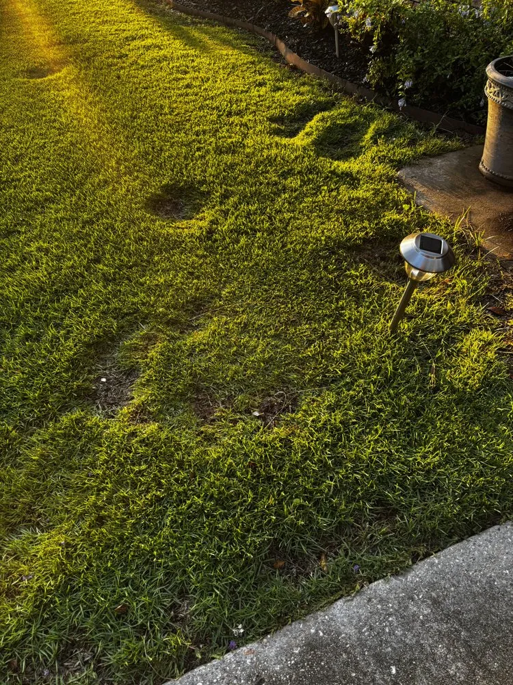 Top-rated landscape installation in Arnaudville, LA - Cajun Trimmers Lawn Service & Landscaping