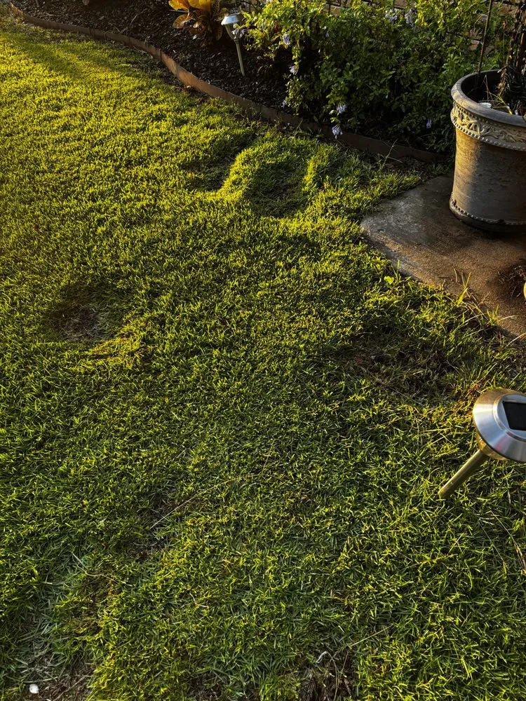 Top-rated landscape installation in Arnaudville, LA by Cajun Trimmers Lawn Service & Landscaping