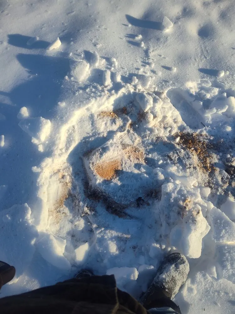 Local landscape design for outdoor upgrades in Fredericktown, MO by Cajun's Debris Removal