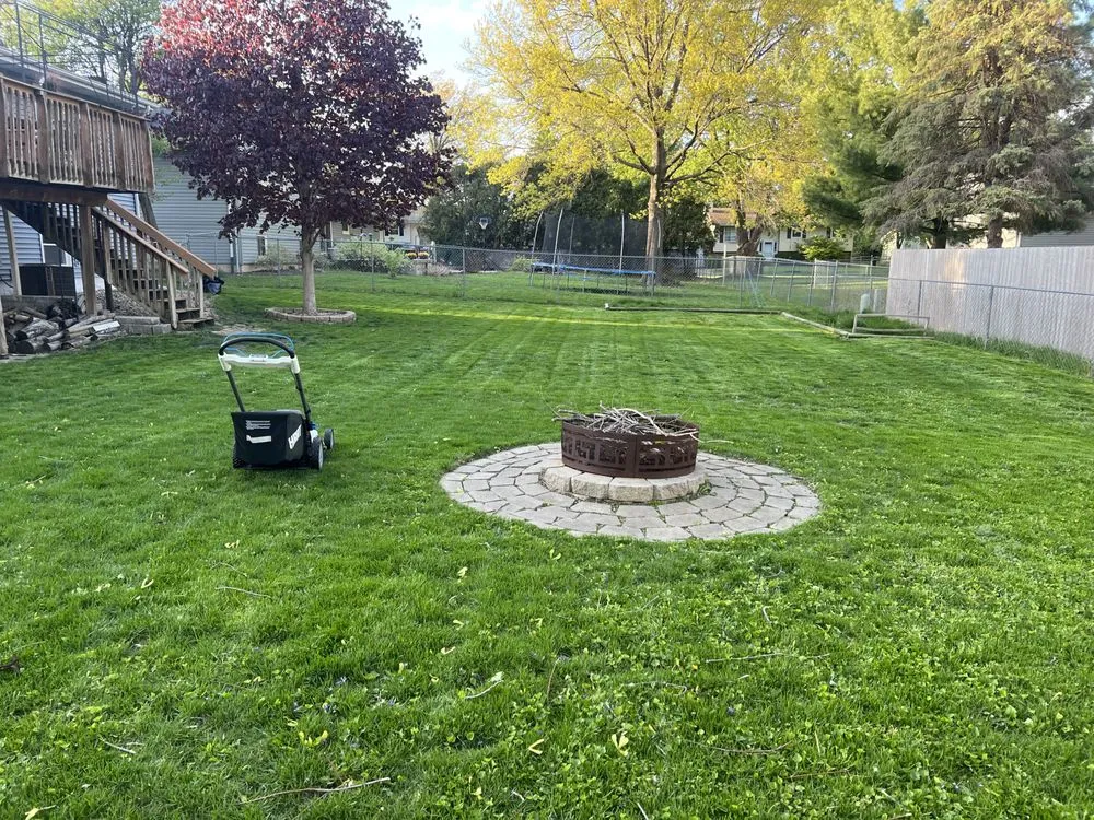 Expert yard cleanup service in Bloomington, IL - Cal And A Mower