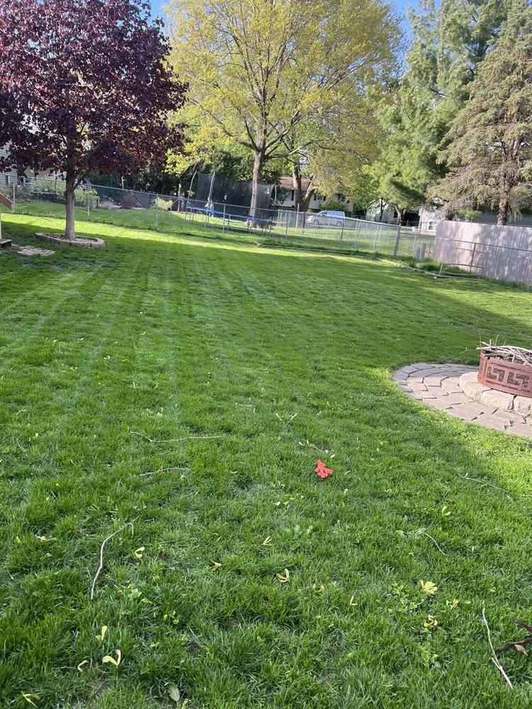 Custom yard cleanup service near you across Bloomington, IL - Cal And A Mower