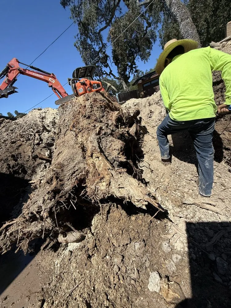 Top-rated yard maintenance for residential properties across San Miguel, CA - Cal Coast Hardscape & Irrigation