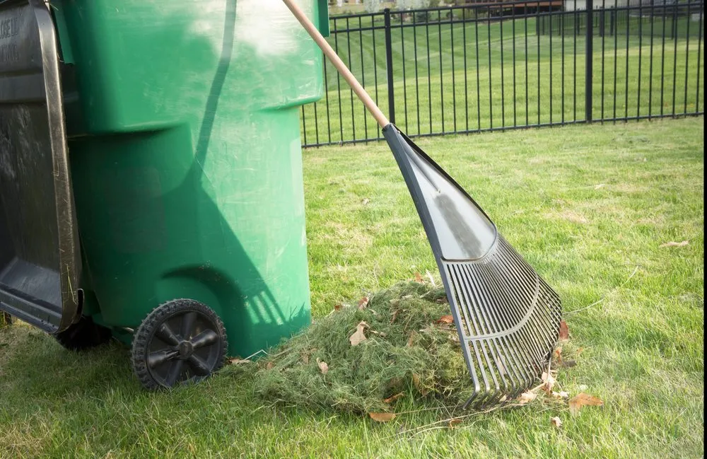 Professional yard cleanup service in Spokane, WA - Cal Exterior Services