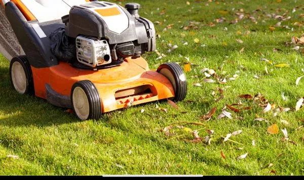 Cal Exterior Services Logo