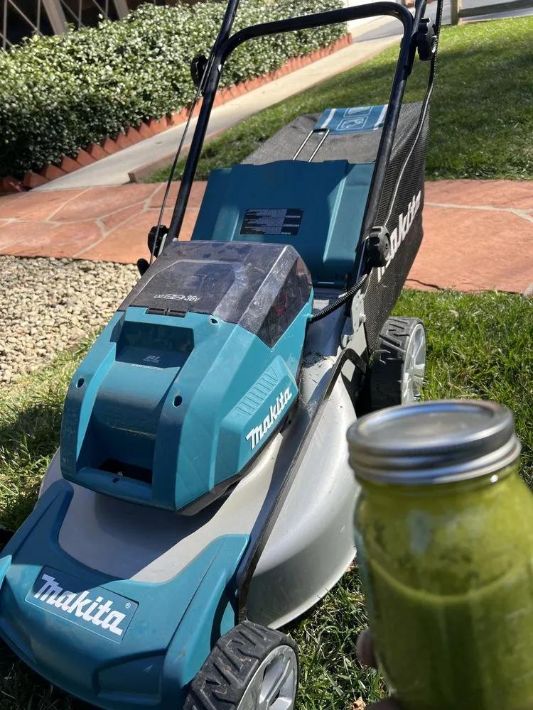 Custom lawn care service with custom design across Santa Barbara, CA - Cal-Green Landscaping & Tree Care