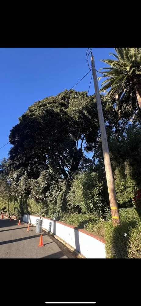 Reliable residential landscaping with custom design across Santa Barbara, CA - Cal-Green Landscaping & Tree Care