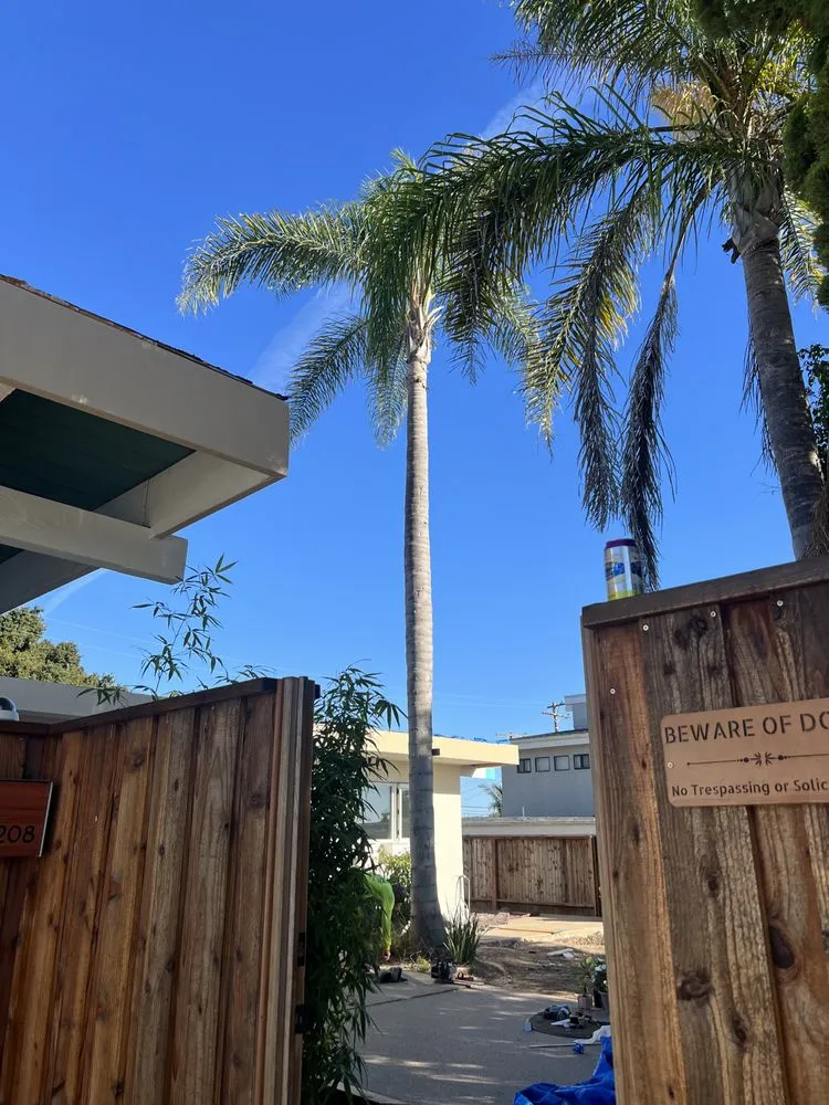 Top-rated landscape installation for outdoor upgrades in Santa Barbara, CA by Cal-Green Landscaping & Tree Care