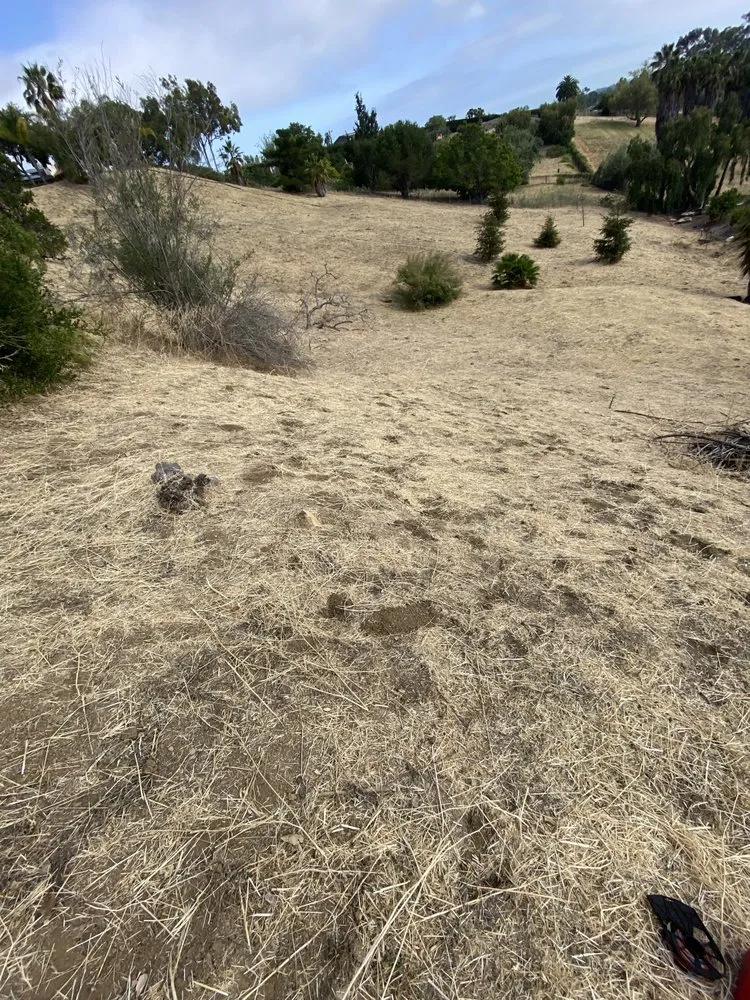 Top-rated garden landscaping in Santa Barbara, CA - Cal-Green Landscaping & Tree Care