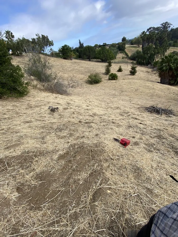 Top-rated residential landscaping experts serving Santa Barbara, CA - Cal-Green Landscaping & Tree Care