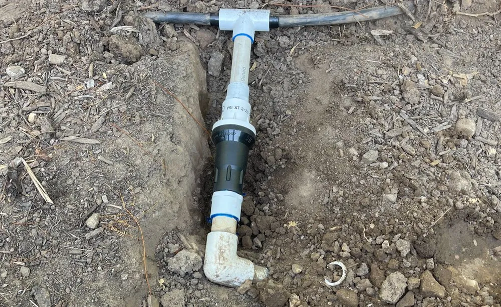 Top-rated lawn mowing service near you in Santa Barbara, CA by Cal-Green Landscaping & Tree Care