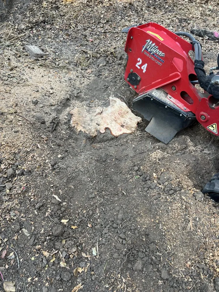 Expert lawn mowing service for year-round maintenance in Santa Barbara, CA by Cal-Green Landscaping & Tree Care