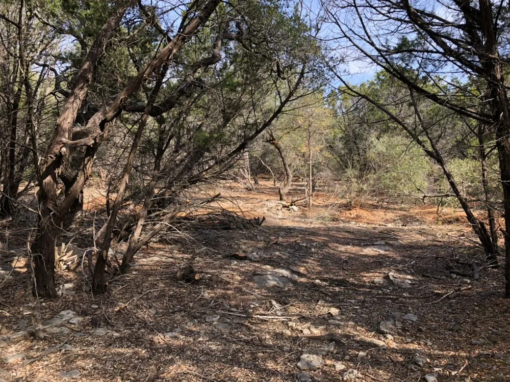 Custom lawn mowing service in New Braunfels, TX by Cal H Phillips Land Clearing