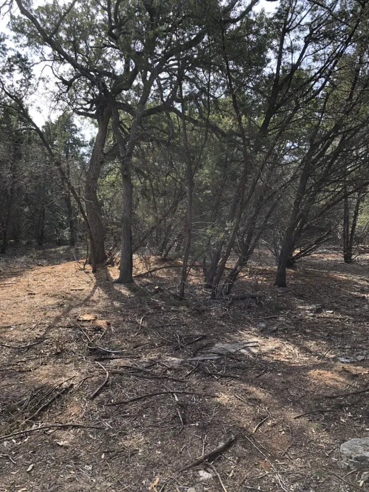Reliable yard maintenance experts serving New Braunfels, TX - Cal H Phillips Land Clearing