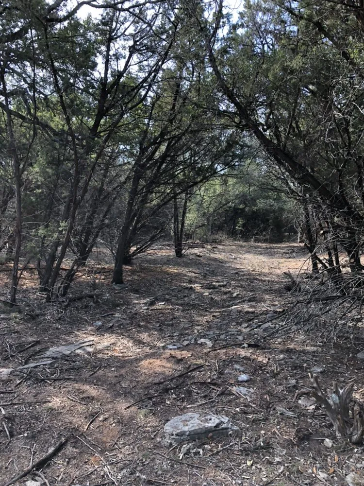 Professional landscape design for homes in New Braunfels, TX by Cal H Phillips Land Clearing