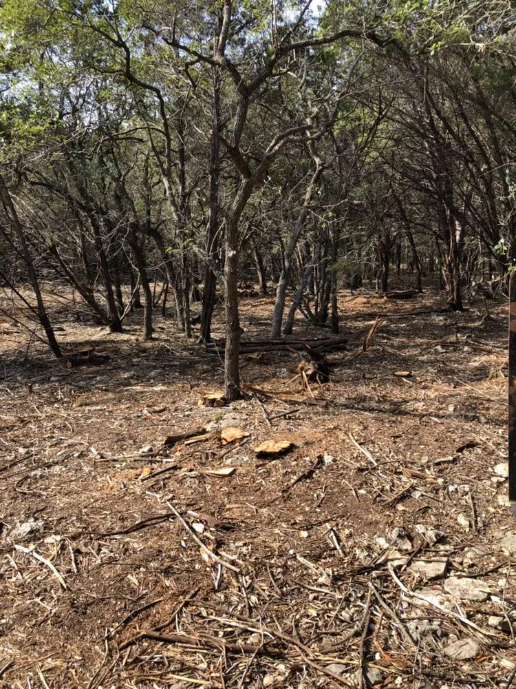 Trusted yard maintenance in New Braunfels, TX by Cal H Phillips Land Clearing