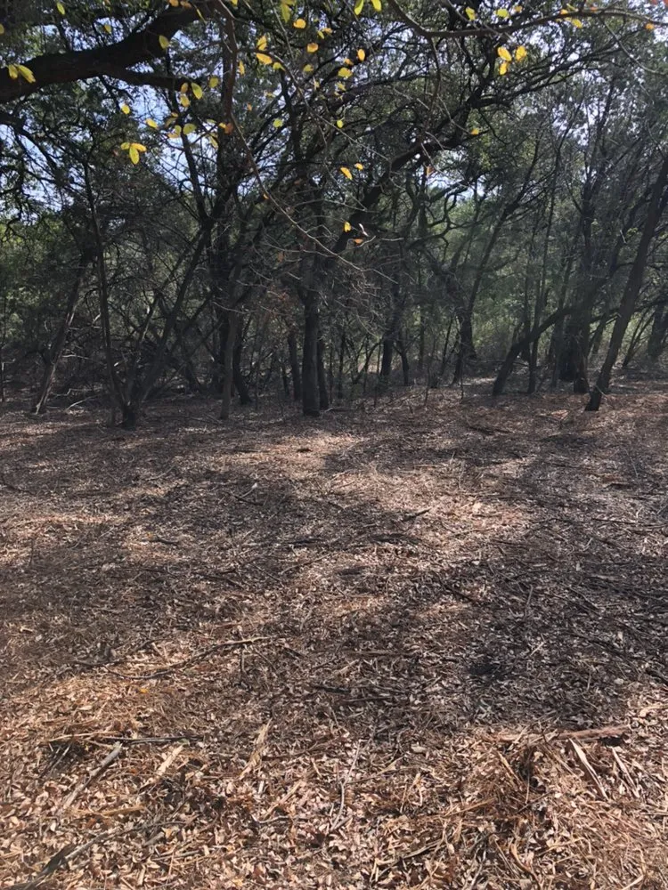 Local landscaping services for residential properties across New Braunfels, TX - Cal H Phillips Land Clearing