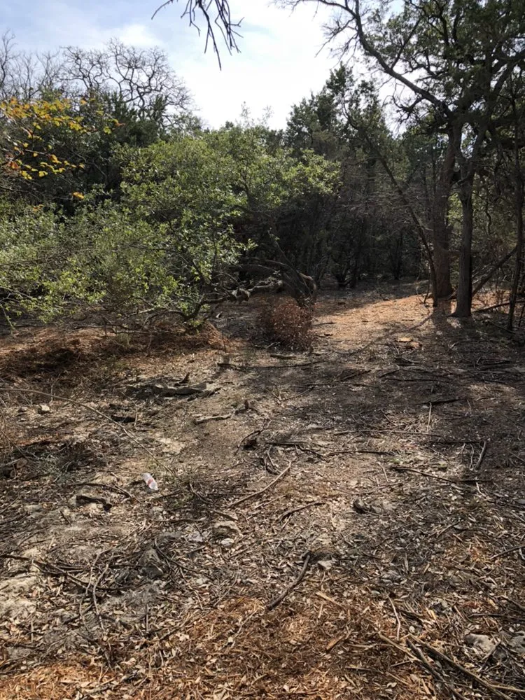 Custom landscape installation for homes across New Braunfels, TX - Cal H Phillips Land Clearing