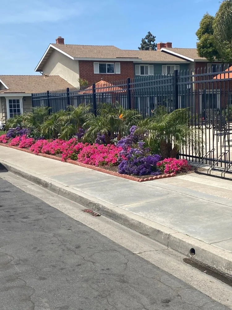 Expert yard cleanup service for year-round maintenance across Irvine, CA - CAL Landscaping & Maintenance