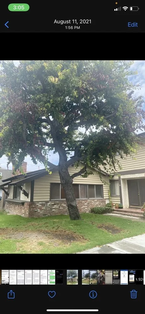 Trusted landscape installation in Irvine, CA - CAL Landscaping & Maintenance