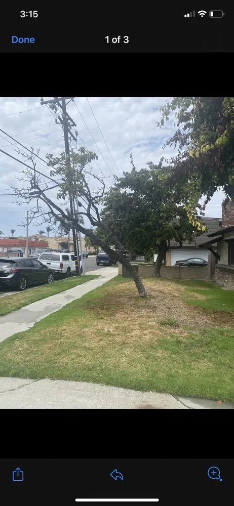 Trusted landscape design in Irvine, CA by CAL Landscaping & Maintenance