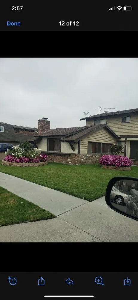 Expert lawn care service in Irvine, CA - CAL Landscaping & Maintenance