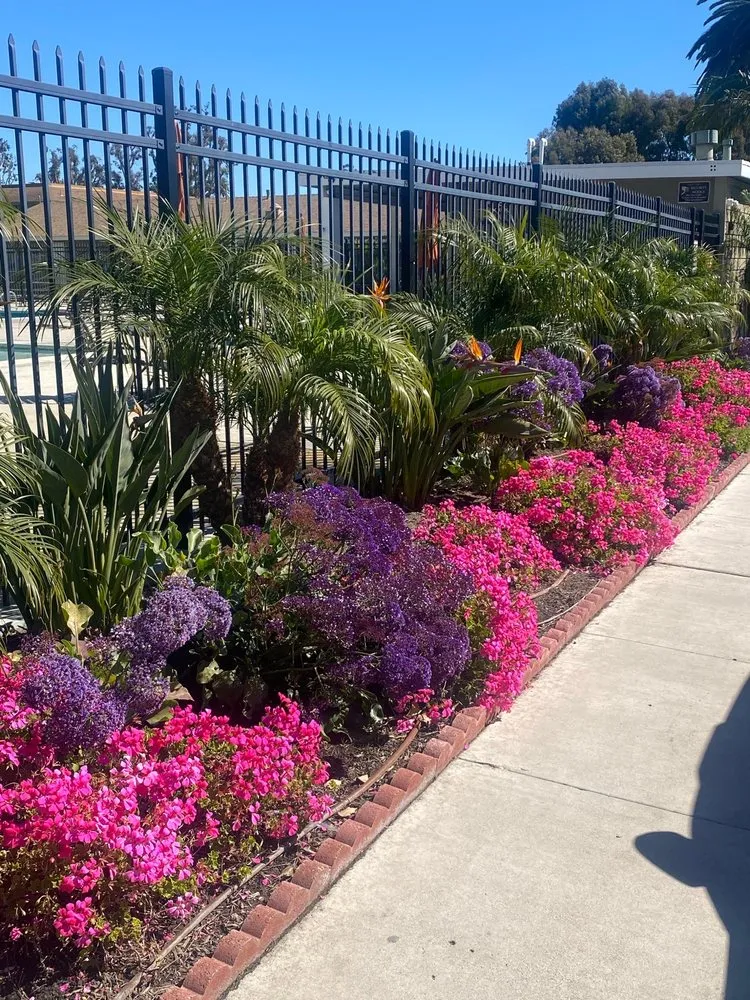 Professional landscape installation experts serving Irvine, CA - CAL Landscaping & Maintenance