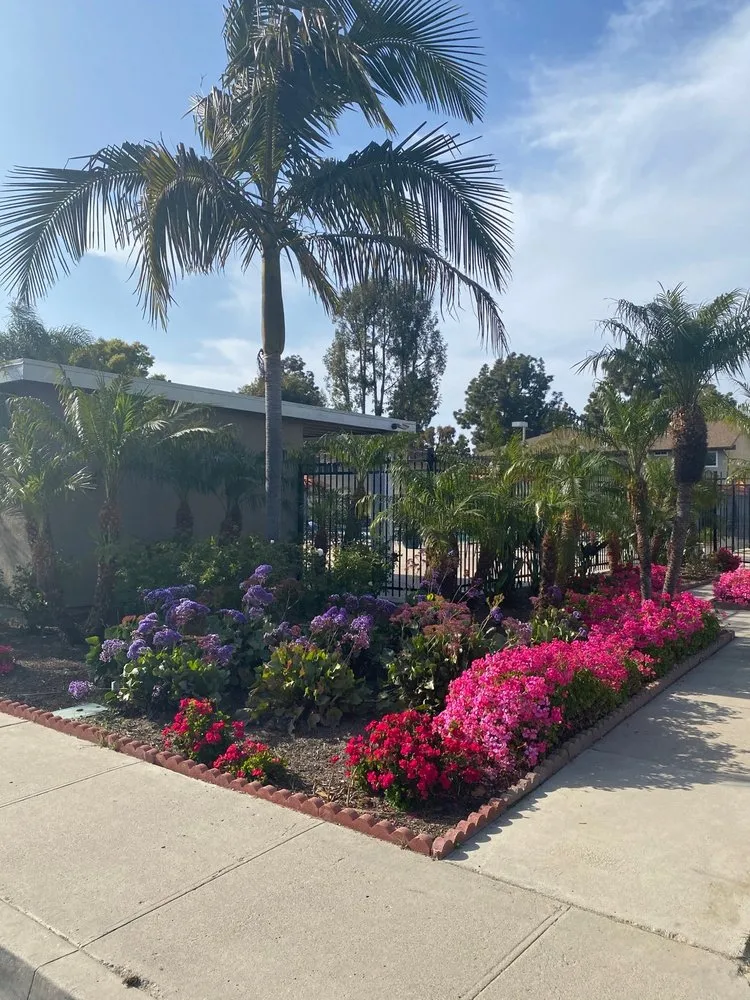 Trusted landscape design for outdoor upgrades in Irvine, CA by CAL Landscaping & Maintenance