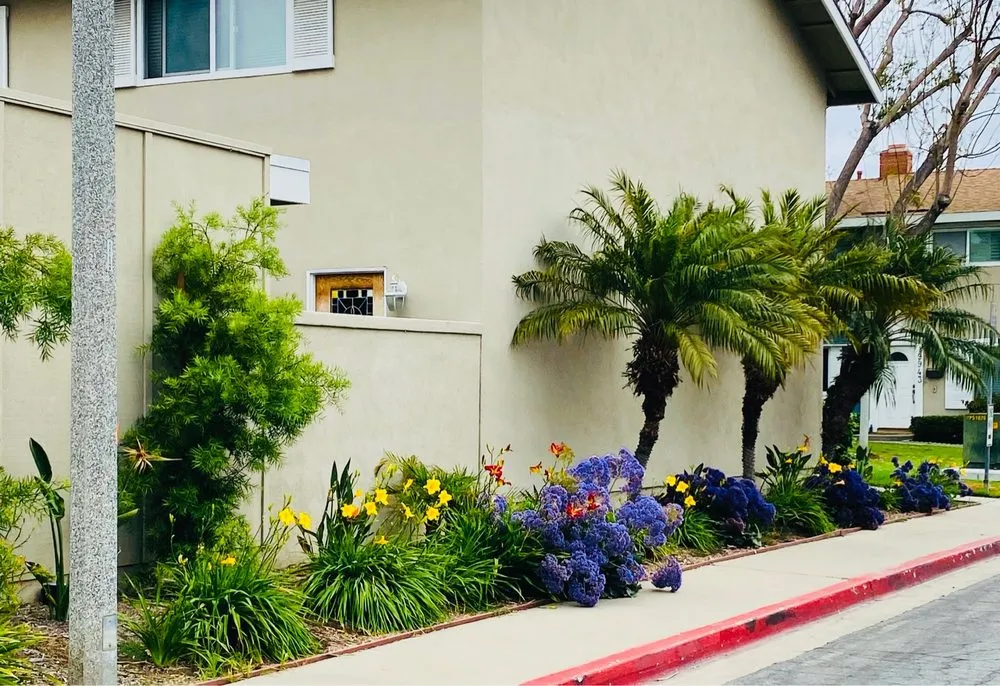 Affordable landscape installation in Irvine, CA by CAL Landscaping & Maintenance