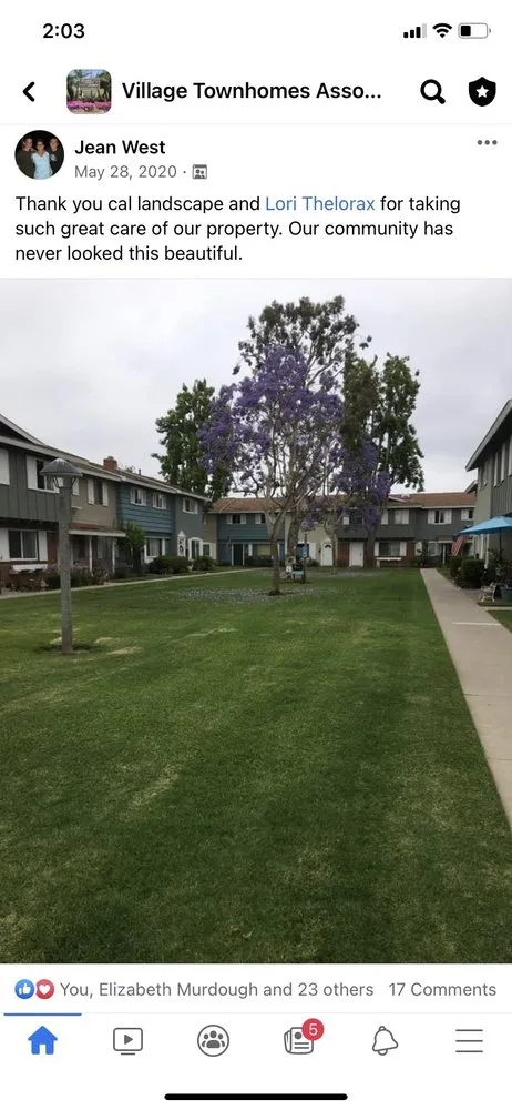 Affordable lawn care service for outdoor upgrades in Irvine, CA by CAL Landscaping & Maintenance