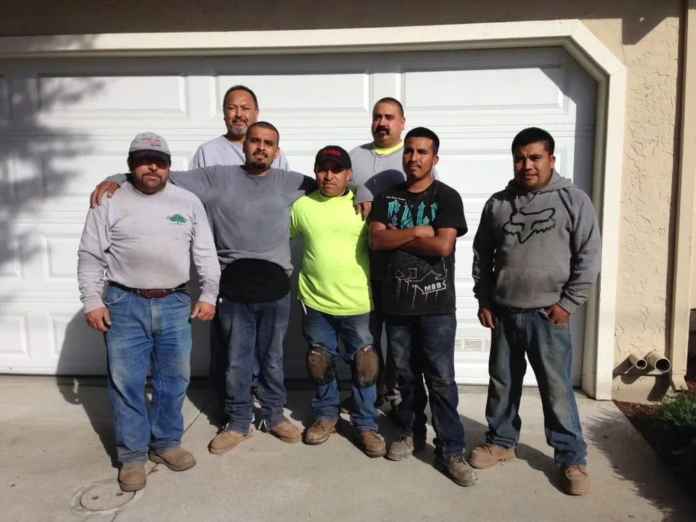 Affordable lawn care service in San Jose, CA by Cal Landscaping