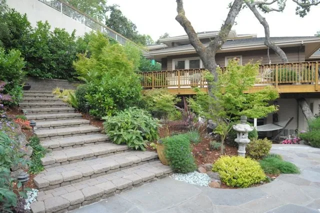 Trusted landscaping services in San Mateo, CA - Cal Native Landscaping