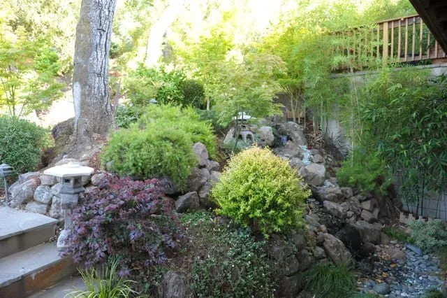 Expert yard cleanup service for outdoor upgrades across San Mateo, CA - Cal Native Landscaping