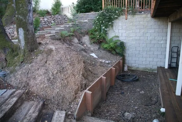 Professional lawn care service in San Mateo, CA - Cal Native Landscaping